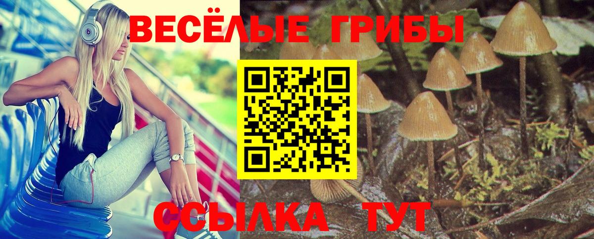 Кохма  Галлюциногенные грибы Cubensis  дарнет шоп  Вход с VPN 