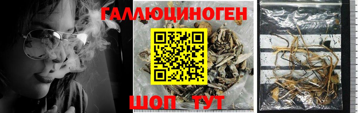 Галлюциногенные грибы ЛСД Кохма